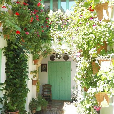 La Casa De La Costurera Lägenhet Córdoba Exteriör bild