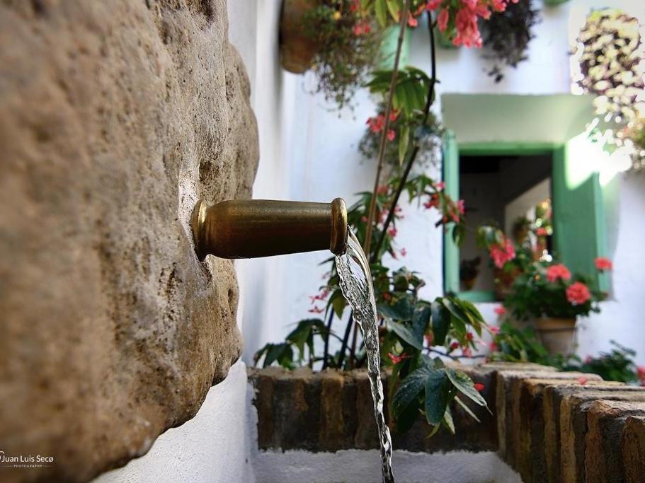 La Casa De La Costurera Lägenhet Córdoba Exteriör bild